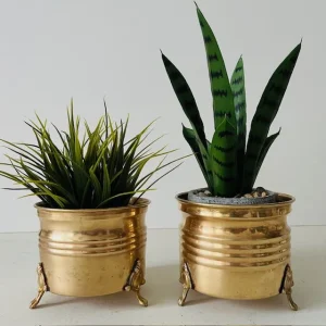 Vintage set messing gouden bloempotjes leeuwenpootjes 1950’s