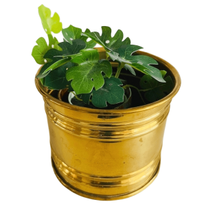 Vintage messing gouden bloempotje 1950’s