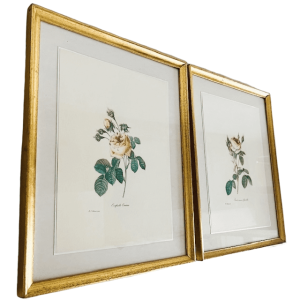 Vintage set schilderijen roze roos P.J. Redouté repro gouden lijst 1960’s