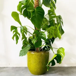 XL Bloempot keramiek groen West Germany Stijl